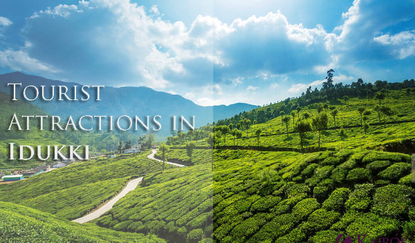Idukki - Tourist Attractions / Points of Interest